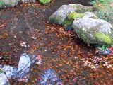 05555c31.jpg