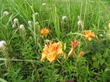 291b9cf8.jpg
