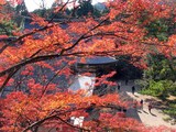 31a811e9.jpg