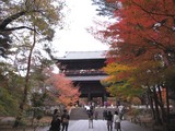 6f0f9692.jpg
