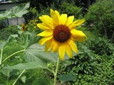 8c3111e5.jpg