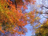 9030e536.jpg