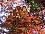 9b8f4591.jpg