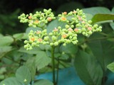 c92486dc.jpg