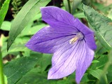 ca044497.jpg