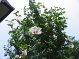 d28485f8.jpg